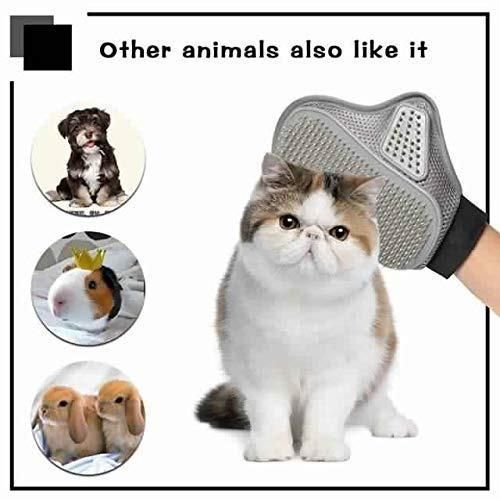 Gentle Steel Grooming Glove